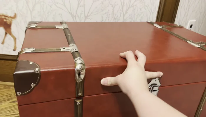 Add 3D butterfly stickers in a rainbow pattern to the wall.