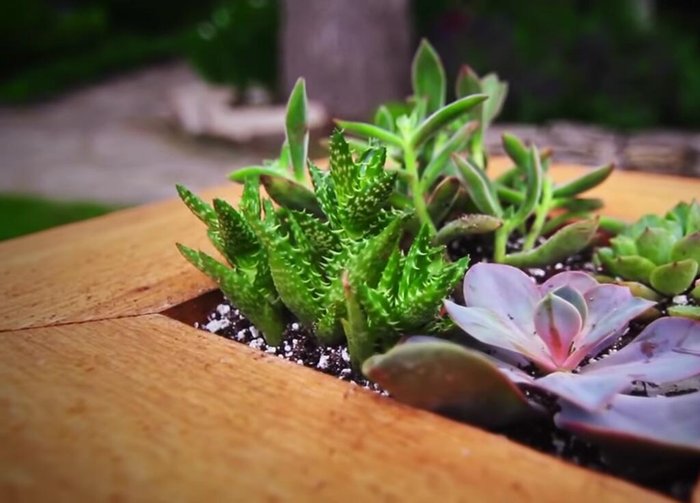 Place the hanging frame in a location with appropriate sunlight.