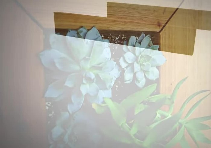 Insert hardware cloth into the box.