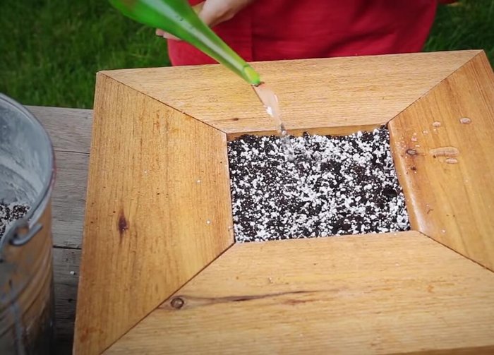 Top off the soil with another layer after settling.