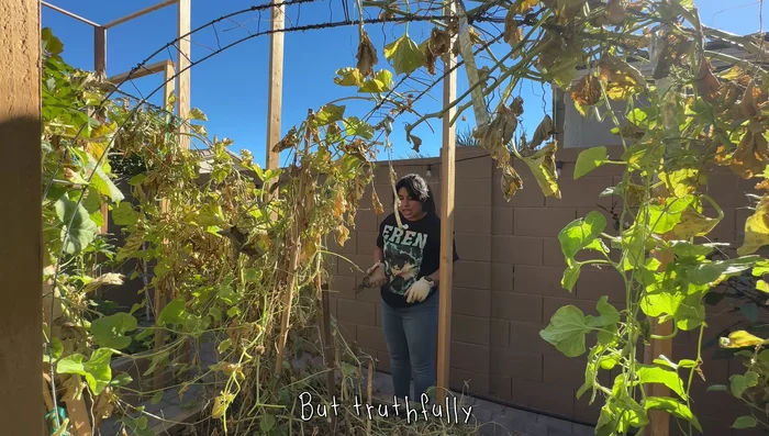 Chop and drop: Cut larger vines and plants into smaller pieces, leaving them on the bed to decompose and enrich the soil.