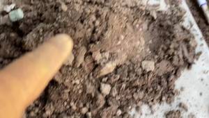 Quick & Cheap Leaky Pipe Repair: A DIY Guide