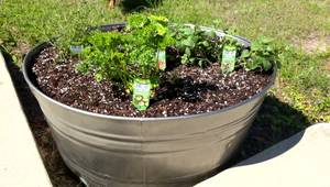 Upcycled Herb Garden: Transform Rusty Tub into a Charming Planter