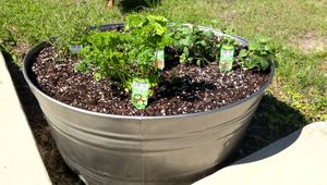 Upcycled Herb Garden: Transform Rusty Tub into a Charming Planter