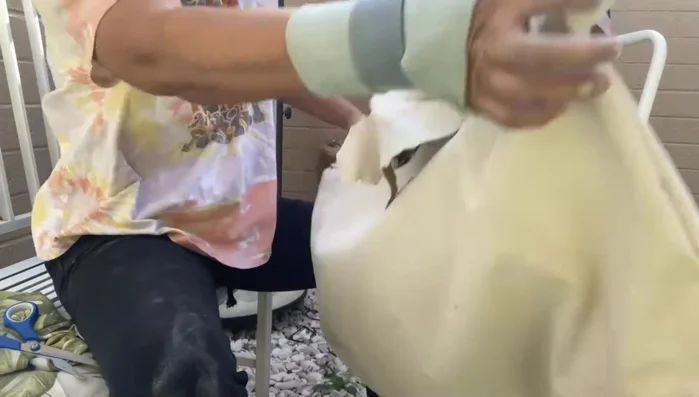 Identify and cut the torn area of the umbrella cover.