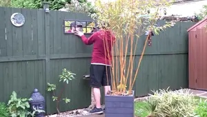 DIY Garden Mirror: Transform Old Scrap Mirror into a Stunning Focal Point