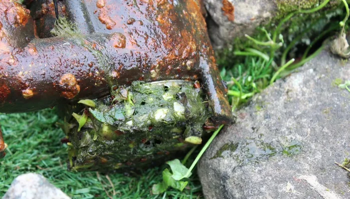 Clean the pump intake of algae buildup.