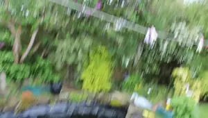 Repairing a Heron-Damaged Pond Liner: A Step-by-Step Guide