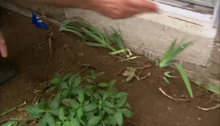 Connect the ground rod to the inter-system bonding termination.