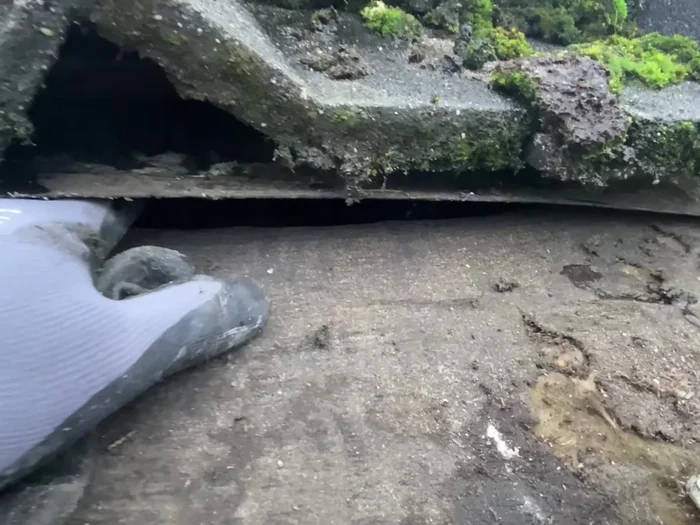 Install new felt, tucking it at least 100mm under the existing felt. Secure it with staples, but avoid over-stapling.