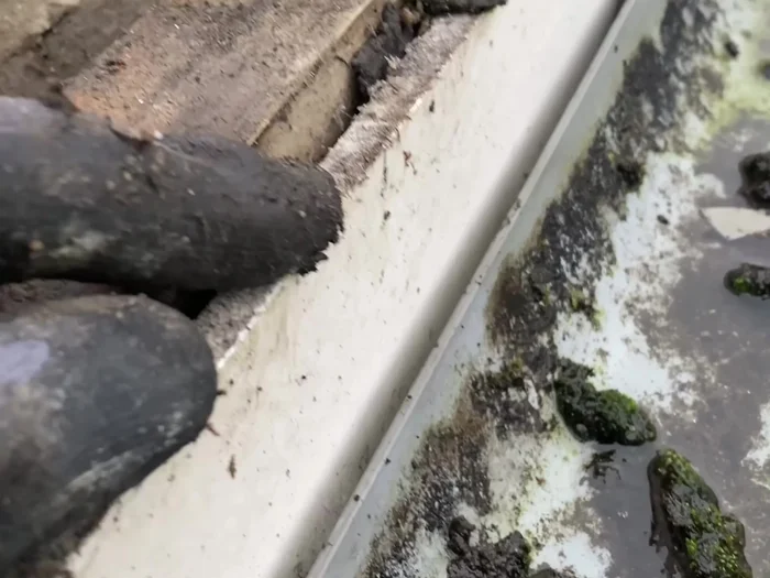 Remove old, damaged felt.