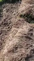 DIY Sewer Line Repair: Save Thousands with This Simple Method