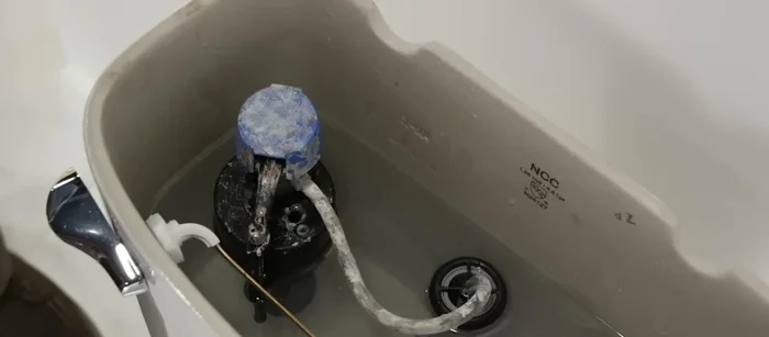 Flush the toilet and remove as much water as possible, using a shop vac for excess water.