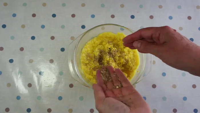 Mix in seeds: Add your chosen seeds to the pulp and mix thoroughly to ensure even distribution.