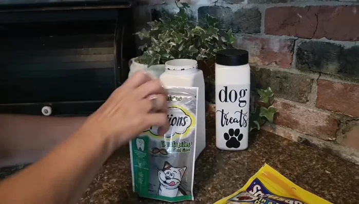 Fill the jars with pet treats.