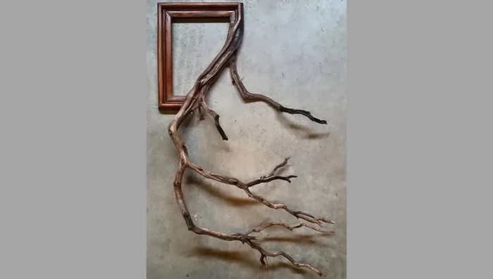 Wood Slice Wall Art: Use wood slices to create a unique and attractive wall art piece.