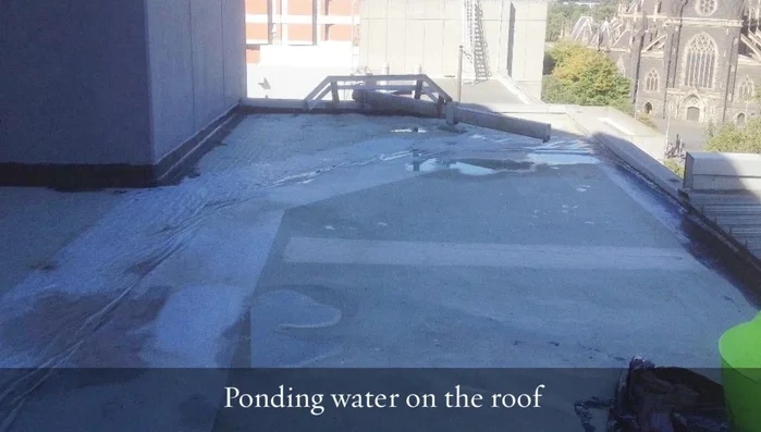 Identify and Address Underlying Issues (Bitumen Base)