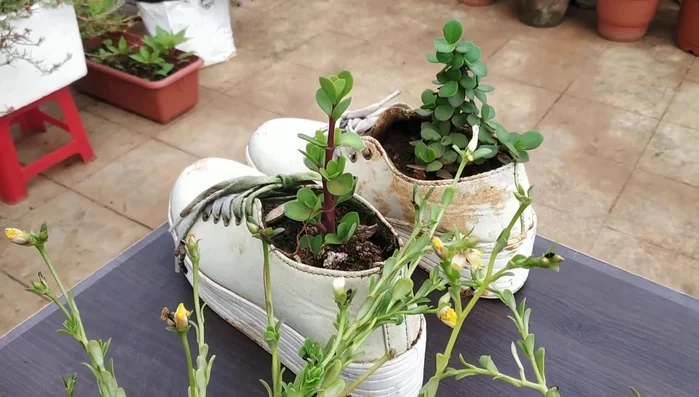 Place shoes in a designated area (e.g., college garden).