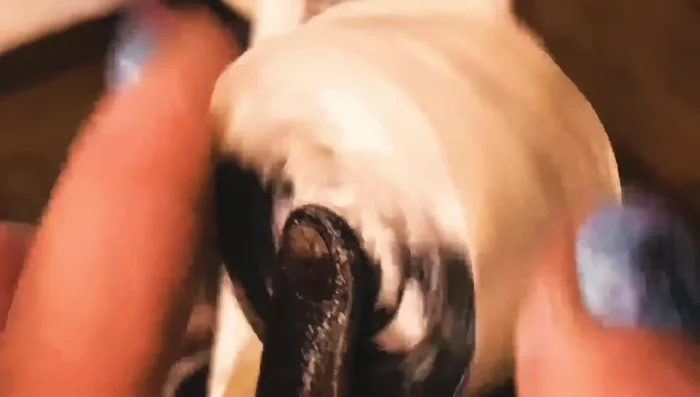 Use a metal file and nail file to refine the shape, removing excess material and smoothing the surface.