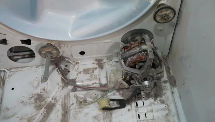 Inspect the dryer drum and components (wheels, motor, idler pulley).