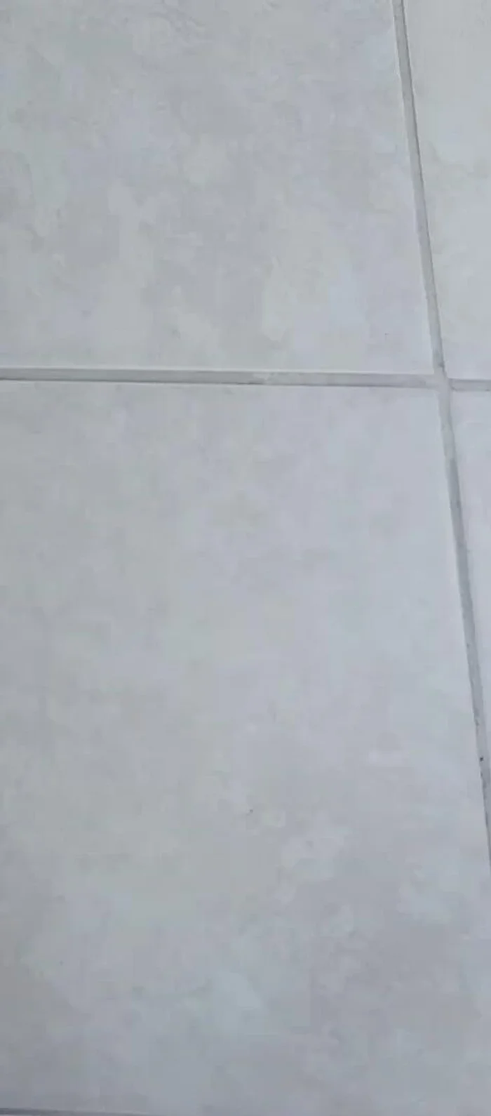 Cut off excess lid material with an Exacto knife.