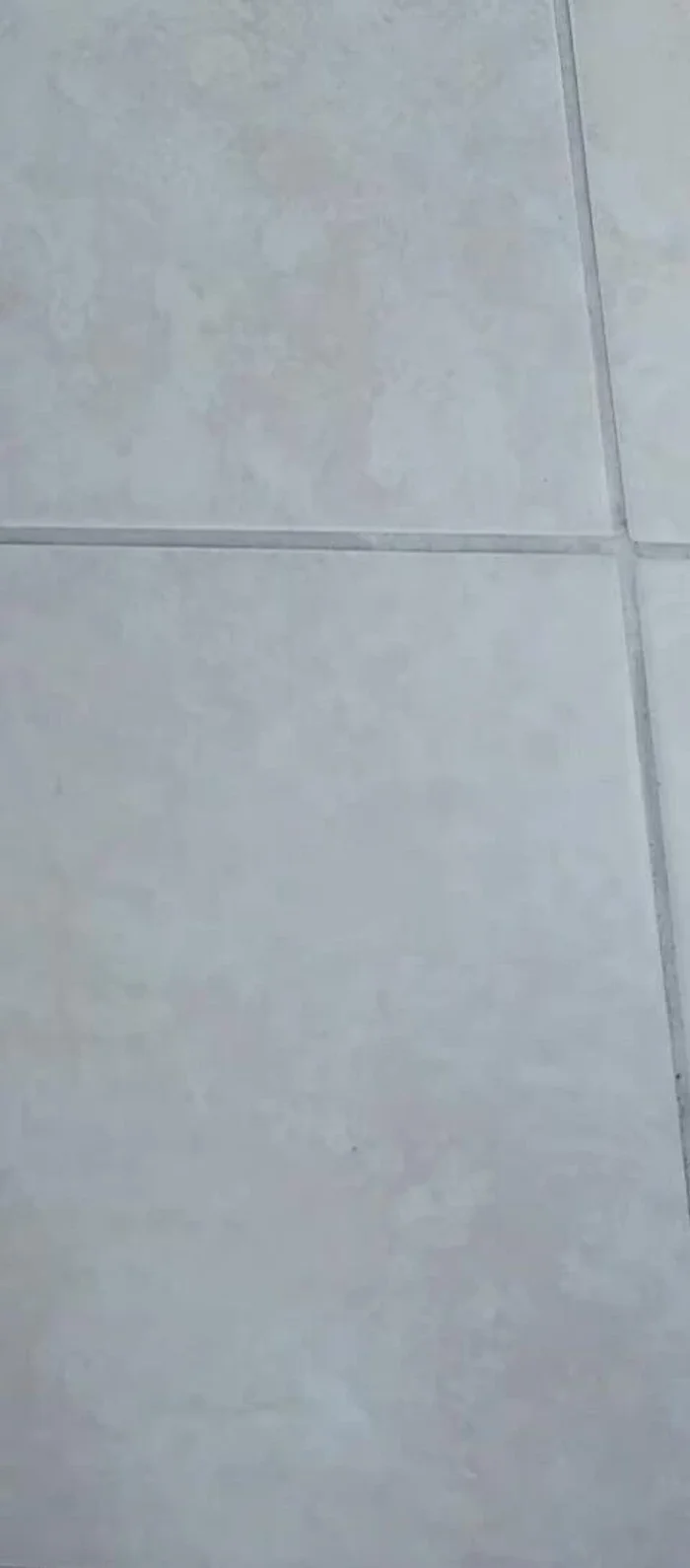 Cut off excess lid material with an Exacto knife.