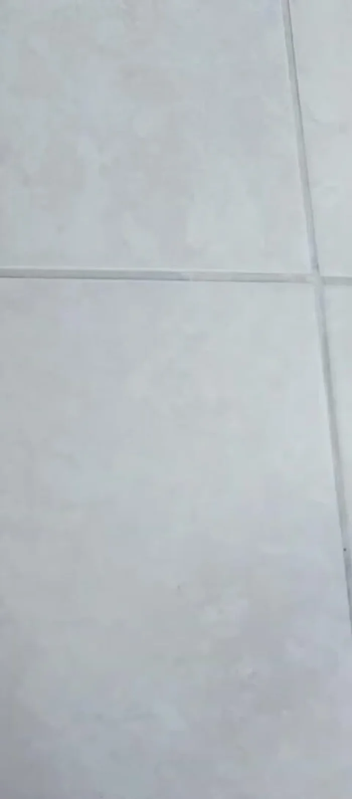 Cut off excess lid material with an Exacto knife.