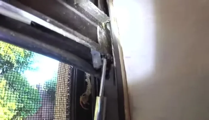 Use a spiral balance charging tool to remove the old spiral balances. Loosen the screw holding the balance in place and pull it out.