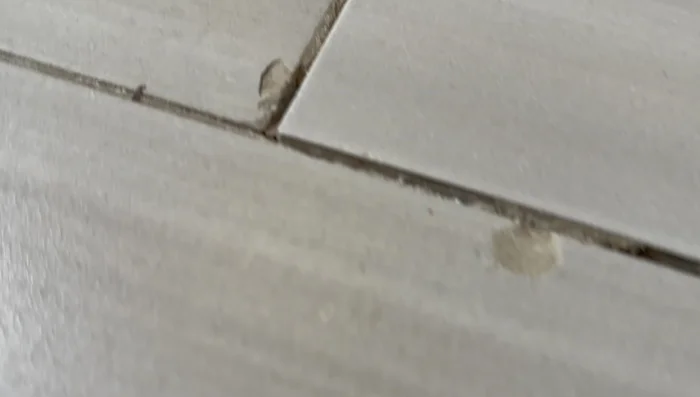 Clean the area again to remove any remaining dust or debris.