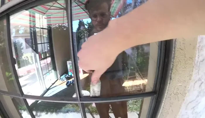 Remove the trim around the window pane using a putty knife.