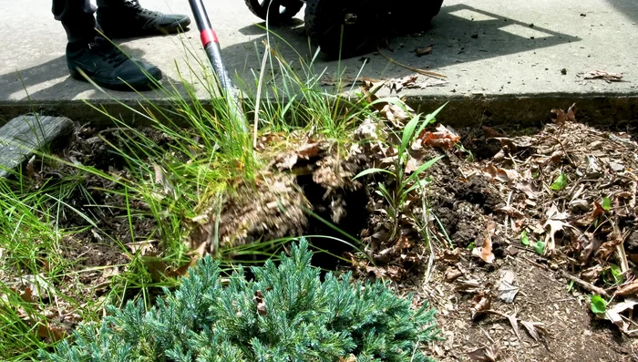 Dig the hole: Excavate a 4x4 foot hole, approximately 20 inches deep at the lowest point, creating a reservoir of about 200 gallons.