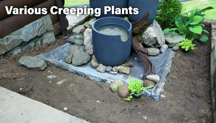 Conceal the pump and frame: Hide the pump and frame with stones, moss, and river rocks. Add plants around the edges.