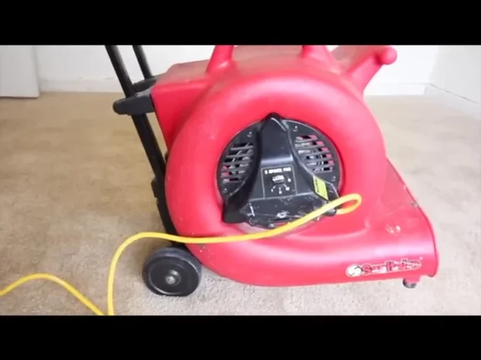 After 24 hours, assess the area and repeat steps 3-8 if necessary.