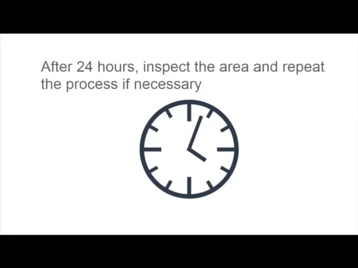After 24 hours, assess the area and repeat steps 3-8 if necessary.