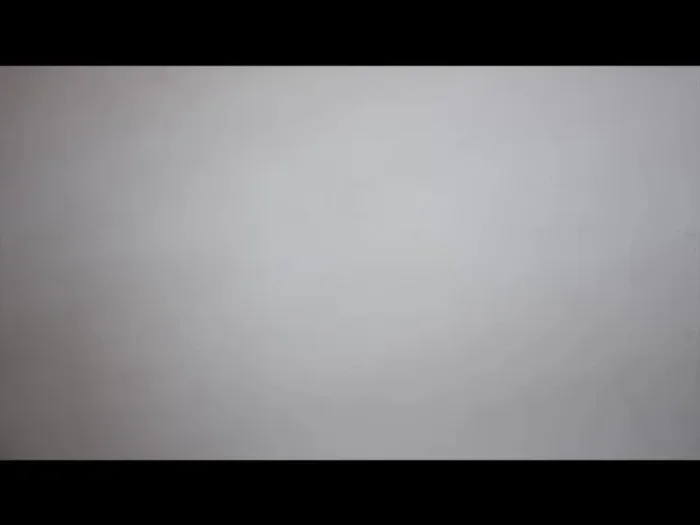 Once completely dry, repaint the wall if needed. The mold should not regrow if the moisture source is addressed.