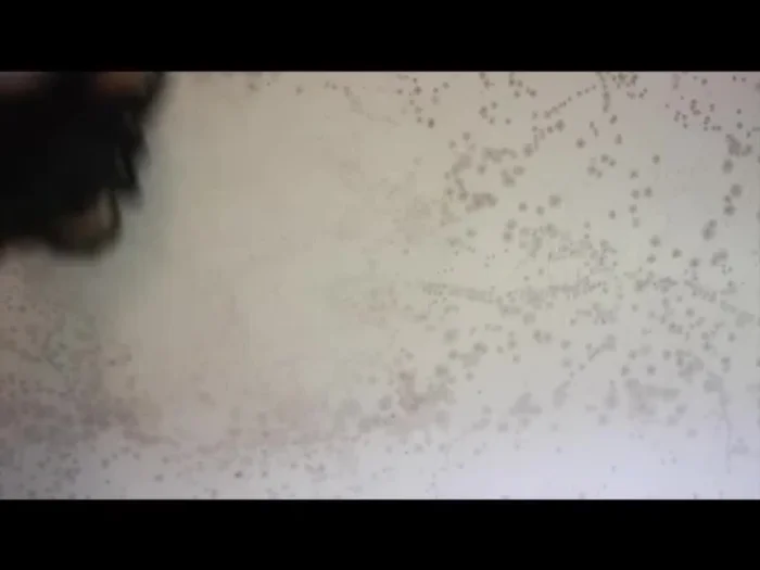 Dry the scrubbed area with a cloth or paper towel.