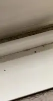 DIY Drafty Window Seal: A Quick Fix with Silicone Rubber
