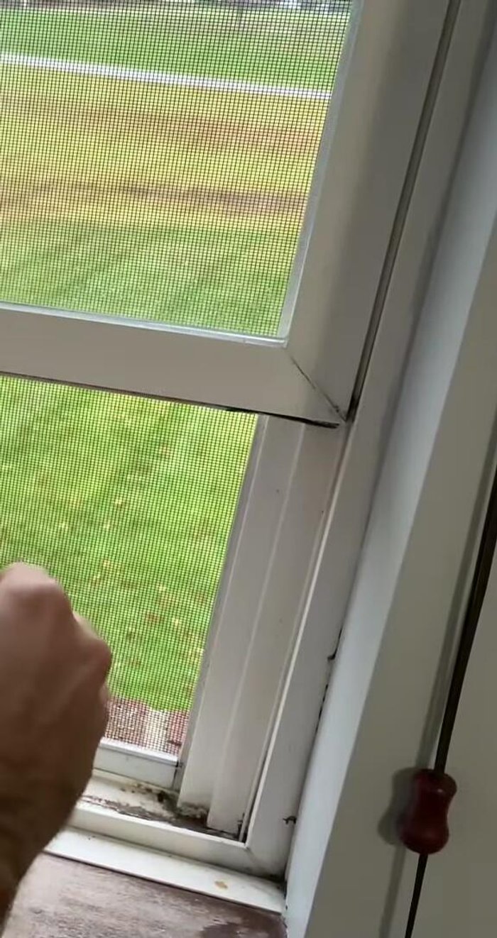 Cut the seal to the desired length, ensuring it's slightly longer than needed.