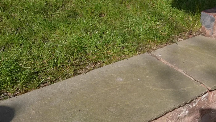 Prepare the SPR slurry: Mix one part SPR with one part water, then add cement to a smooth cream consistency (approximately five parts cement).