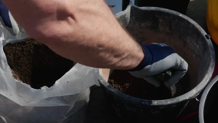 Prepare bedding mortar: Mix cement, sharp sand, and builder's sand (refer to video for proportions). Ensure a damp, not runny, consistency.