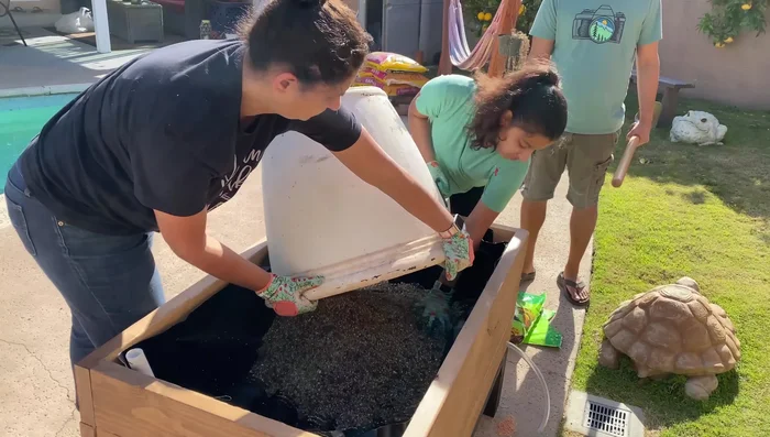 Add potting soil and plant.