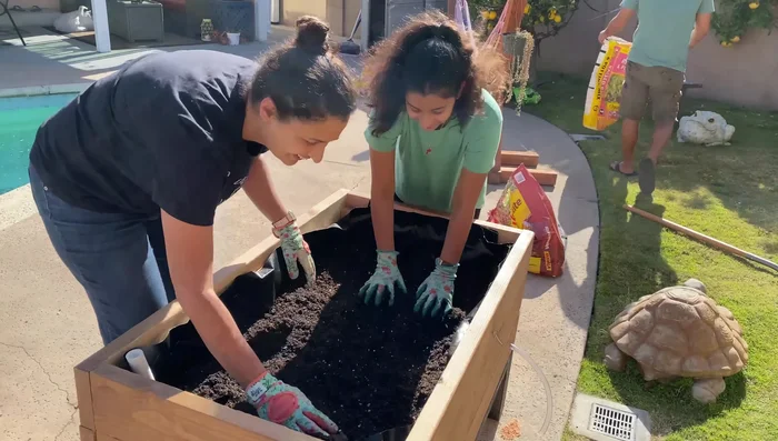 Add potting soil and plant.