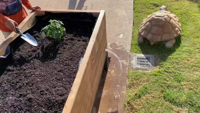 Fill the inlet with water to test the system.