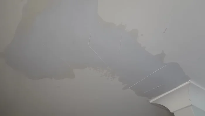 Optional third coat: If necessary, apply a third, final coat to achieve a perfectly smooth surface.