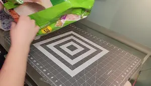 Upcycled Cat Food Bag Tote: A Step-by-Step Guide