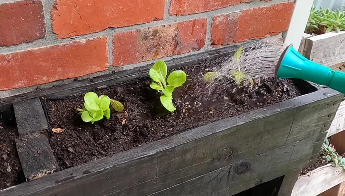 Add spent coffee grounds (optional).