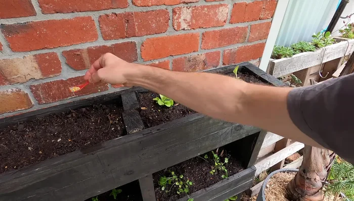 Add spent coffee grounds (optional).