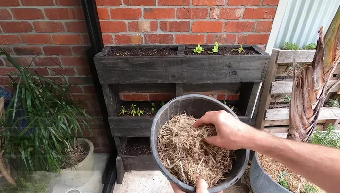 Add spent coffee grounds (optional).