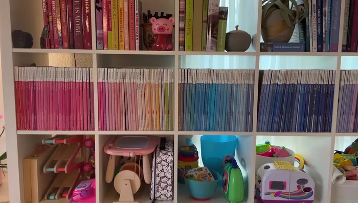 Color-code toys for easy organization and visual appeal.