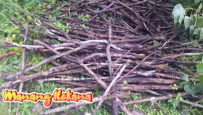 Gather materials: sticks, twine, t-shirt strips cut into strips, and scissors.